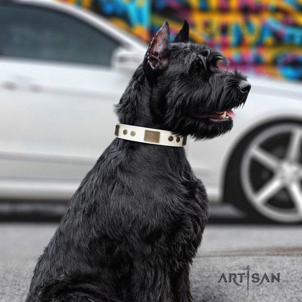 Riesenschnauzer basic training leather collar with adornments for your dog