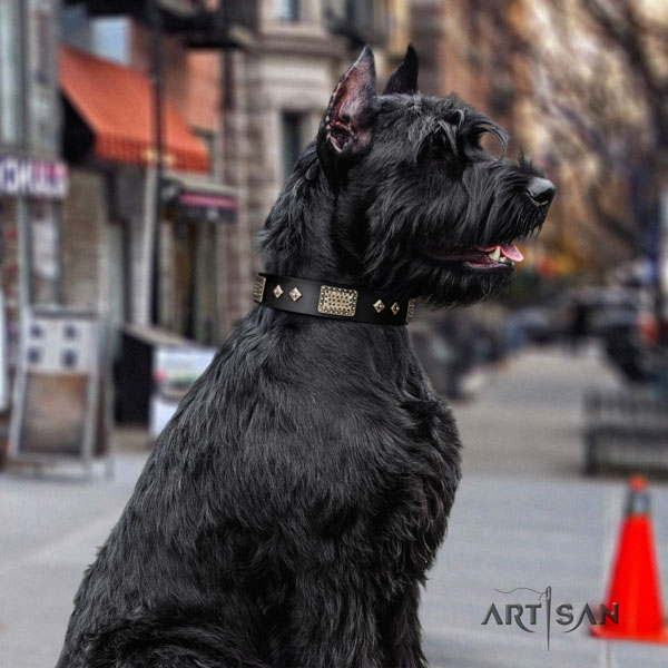 Riesenschnauzer basic training genuine leather collar with decorations for your four-legged friend