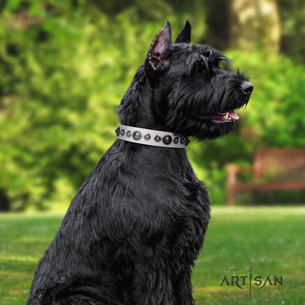 Riesenschnauzer fancy walking full grain genuine leather collar for your stylish canine