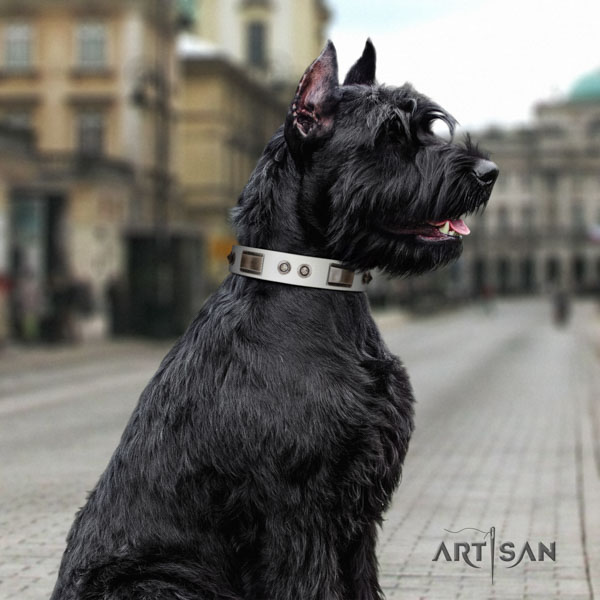 Riesenschnauzer fancy walking full grain natural leather collar with decorations for your doggie