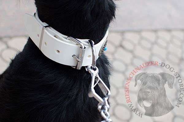 Strong collar with non-corrosive buckle and D-ring