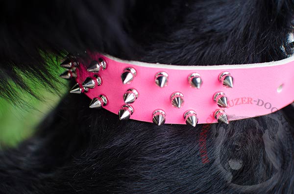 Handcarfted leather collar adorned with 3 rows of spikes