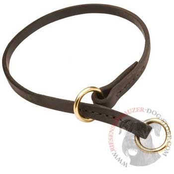 Riesenschnauzer Obedience Training Choke  Leather Dog Collar
