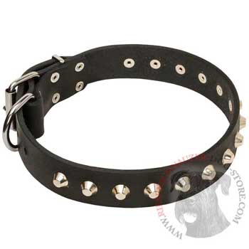 Soft Leather Riesenschnauzer Collar with Nickel Studs