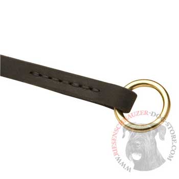  Leather Choke Collar for Riesenschnauzer Training