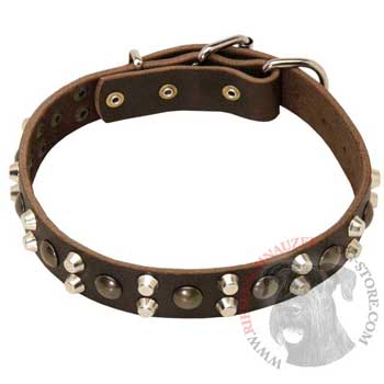 Leather Collar for Riesenschnauzer Stylish Walks