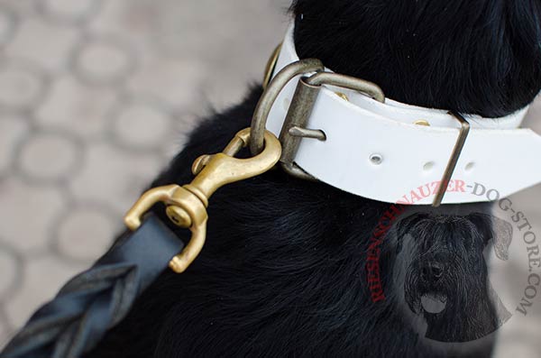 Reliable white leather collar with strong buckle