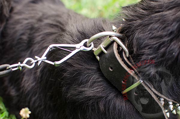Extra durable Riesenschnauzer collar with rust-proof hardware