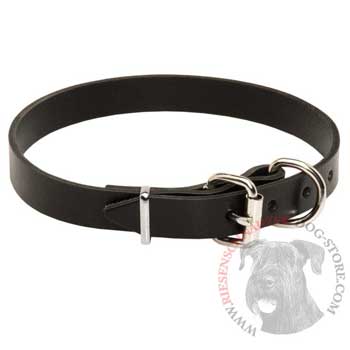 Riesenschnauzer Leather Dog Collar For Everyday Training