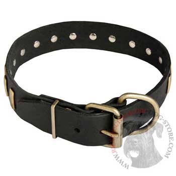 Unique Design Leather Dog Collar with Adjustable Buckle for   Riesenschnauzer