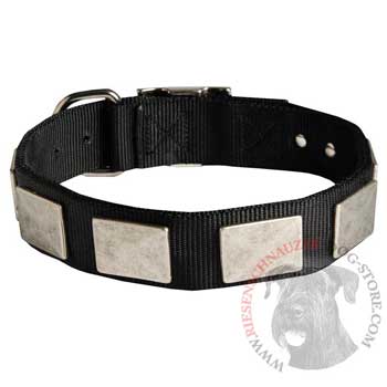   Riesenschnauzer Collar Nickel Vintage with Plates