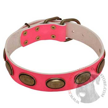 Pink Leather Riesenschnauzer Collar for Female Dogs