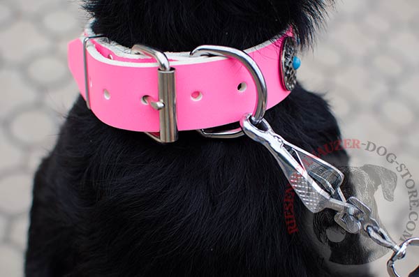 Nickel-plated buckle and D-ring on pink leather collar