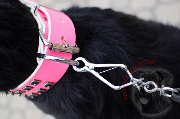 Pink leather Riesenschnauzer collar with nickel-plated buckle