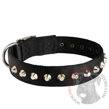 Walking Nylon   Riesenschnauzer Collar Nickel Studded Waterproof