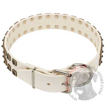 White Leather Dog Buckle Collar for Riesenschnauzer