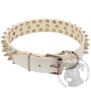 Spiked Leather Riesenschnauzer Collar