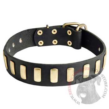 Riesenschnauzer Collar Leather with Brass Hardware