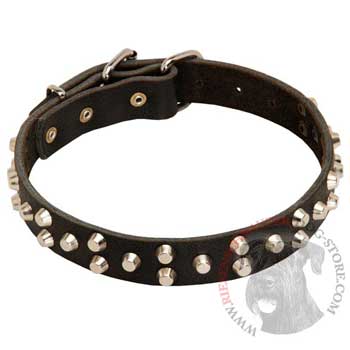Wide Leather Dog Collar for Riesenschnauzer Walking