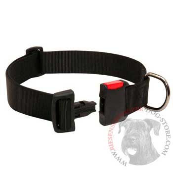 Reliable Nylon Riesenschnauzer Collar