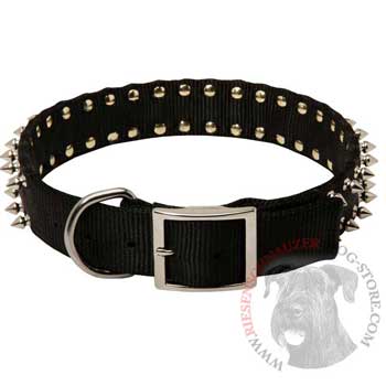 Riesenschnauzer Wide Dog Nylon Collar Spiked