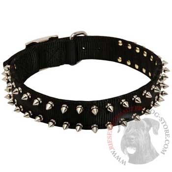 Riesenschnauzer Dog Nylon Collar Steel Nickel Plated Spikes