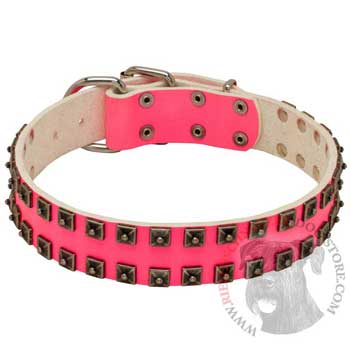 Studded Pink Leather Collar for Riesenschnauzer She-Dogs
