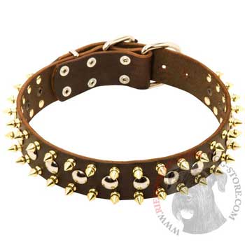 Leather Collar for Riesenschnauzer with Solid Fittings