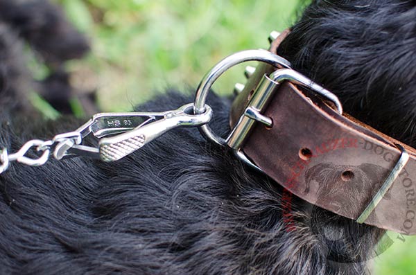 Tear-proof leather collar with rust-resistant hardware for Riesenschnauzer daily walking