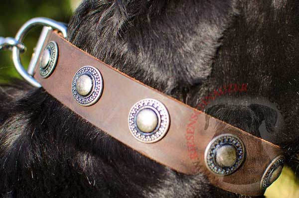 Amazing steel nickel-plated circles fixed with handset rivets