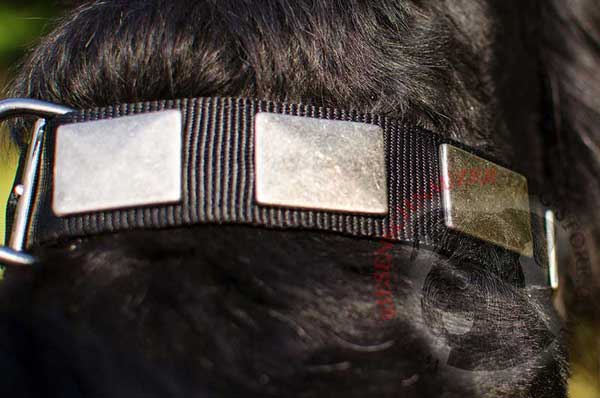 Big vintage metal plates look great on wide nylon strap