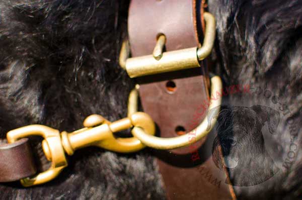 Strong brass D-ring for leash attachment