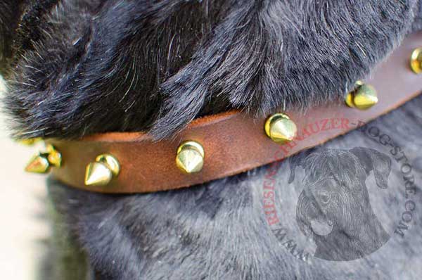 Brass gold-like spikes - a single row of trendy adornment