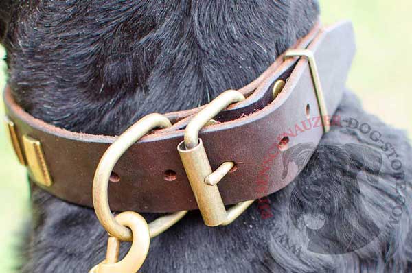 Brass durable duly welded Ring designed for leash fixture