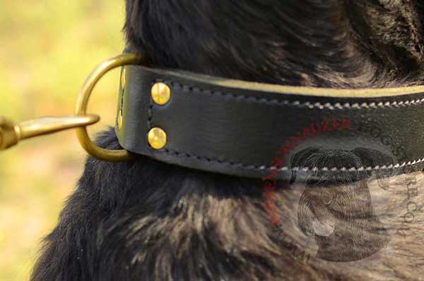 Brass cast D-ring duly riveted for leash connection