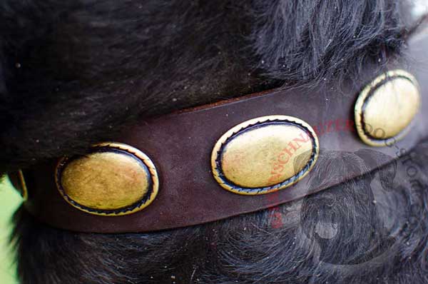 Awesome gold-like ovals set in a single row for extreme beauty