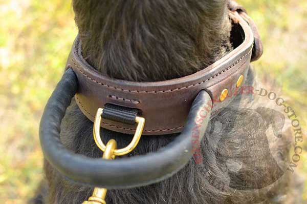 Solid rustproof D-ring positioned under the handle
