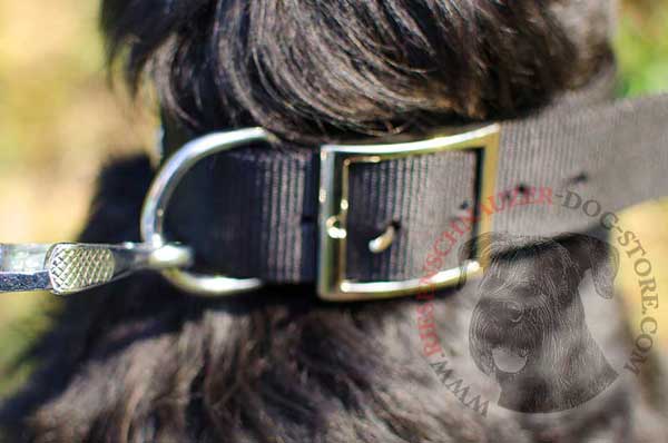 Strong rust-resistant ring ideal for fastening a canine leash