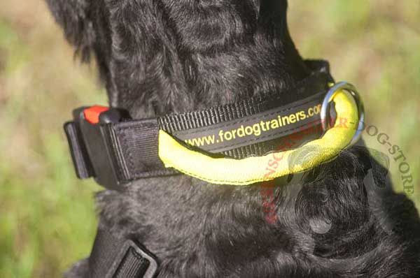 Easy quick release button for fast collar adjustment