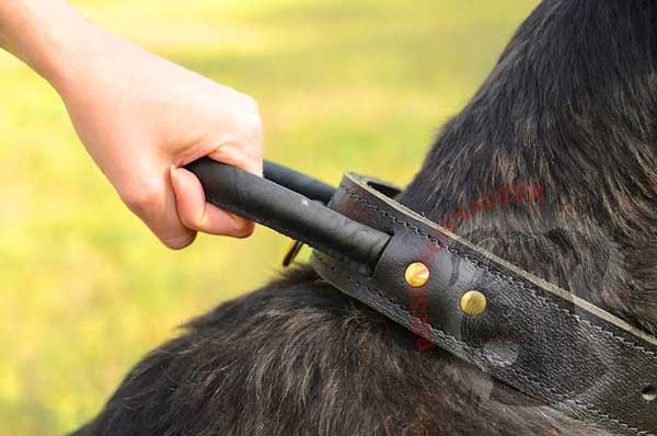 Comfortable heavy-duty handle easy to grasp for management of Riesenschnauzer