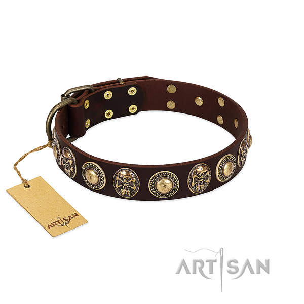 Unique genuine leather dog collar for walking