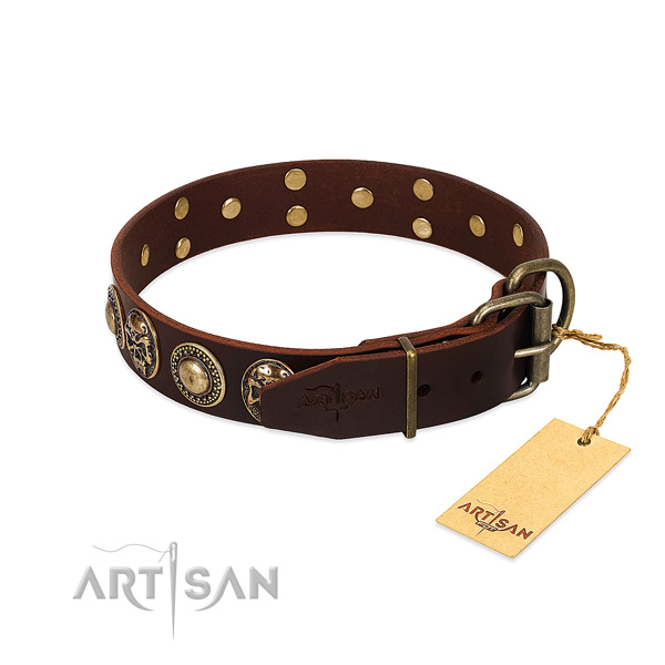 Strong decorations on daily walking dog collar