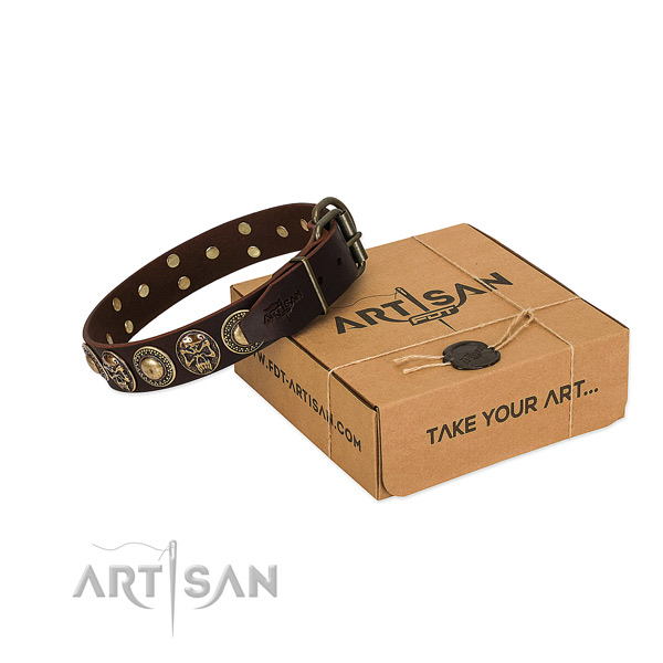 Rust-proof embellishments on dog collar for walking