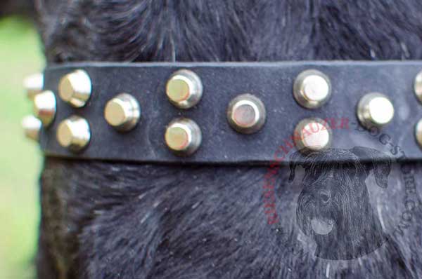 Small shiny pyramids along straight leather strap