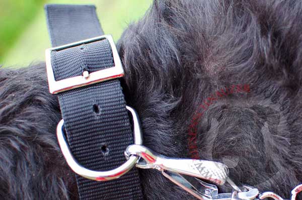 Steel nickel-plated ring with dog leash snap hook attached to it 