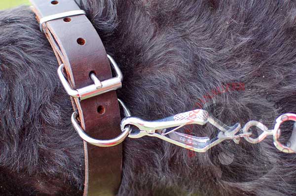 Strong and durable metal ring and snap hook connected to it 