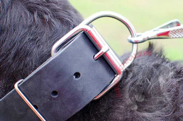 Durable nickel-plated ring for leash attachment