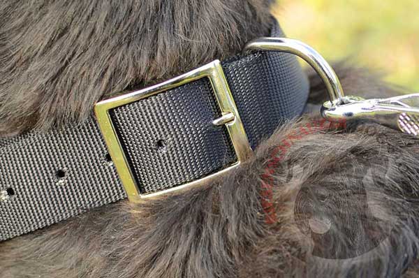 Metal D-ring built in dog collar for reliable leash connection