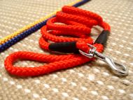Riesenschnauzer Nylon Leash Multifunctional