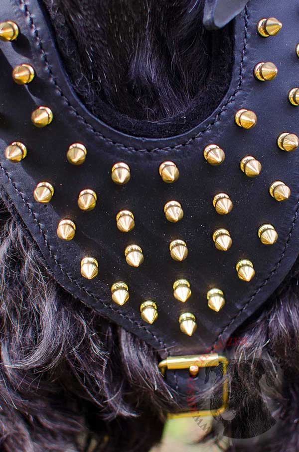 Adjustable Chest Plate with Hand Set Spikes